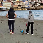 Bella Vista Аркуди