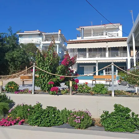 Апартаменты Bella Vista *