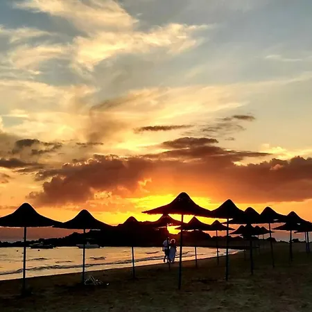 Bella Vista Αρκούδι