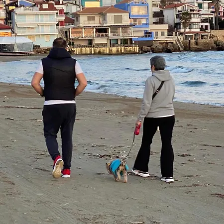 Bella Vista Αρκούδι