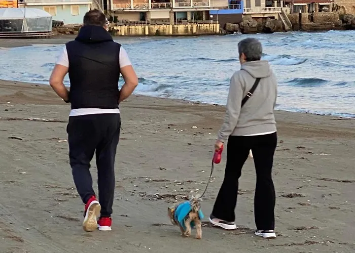 Bella Vista ארקודי